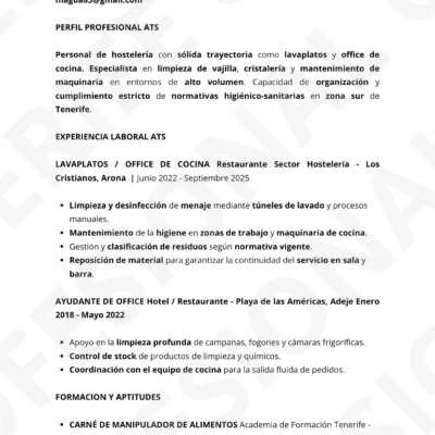 Vista previa CV Lavaplatos Office de Cocina, optimazado para superar filtros ATS, estrutura limpia.