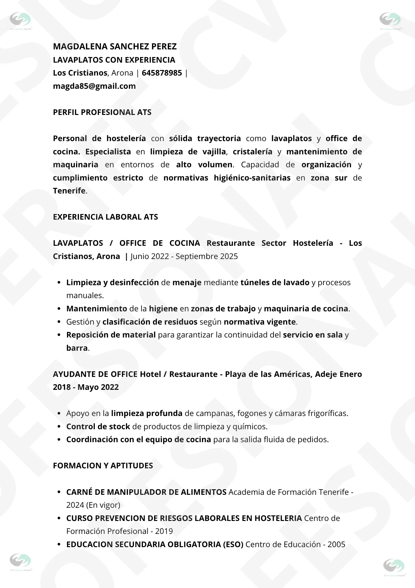 VISTA PREVIA Lavaplatos Profesional Tenerife 4 | CV Profesional Tenerife™ Vista previa CV Lavaplatos Office de Cocina, optimazado para superar filtros ATS, estrutura limpia.