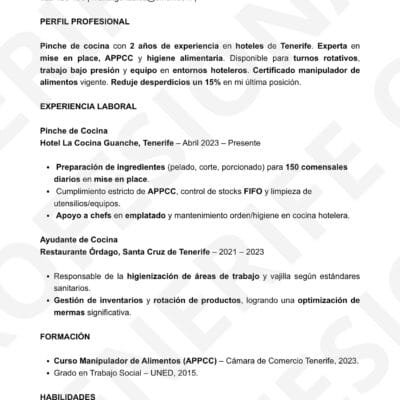 Vista previa CV Pinche de Cocina Optimizado filtros ATS, estructura limpia.