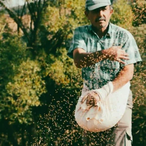 pack-peon-agricola-optimizado-ats Peón agrícola realizando tareas de siembra y cuidado de cultivos en una finca de Tenerife.