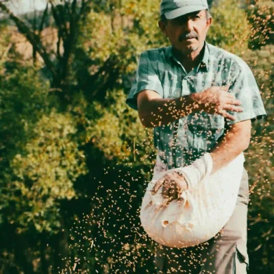Peón agrícola realizando tareas de siembra y cuidado de cultivos en una finca de Tenerife.