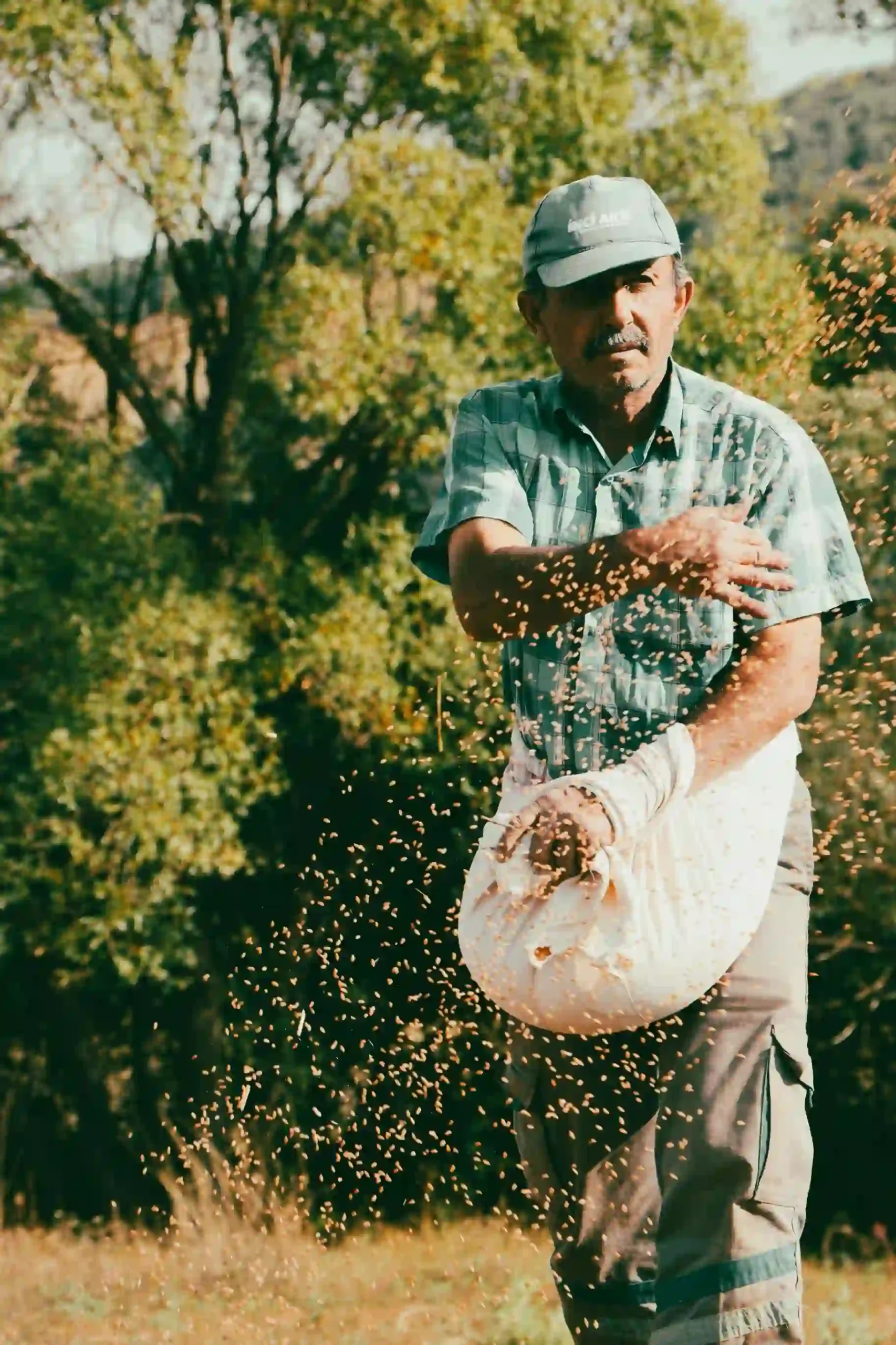 foto cv profesional peon agricola tenerife scaled | CV Profesional Tenerife™ Peón agrícola realizando tareas de siembra y cuidado de cultivos en una finca de Tenerife.